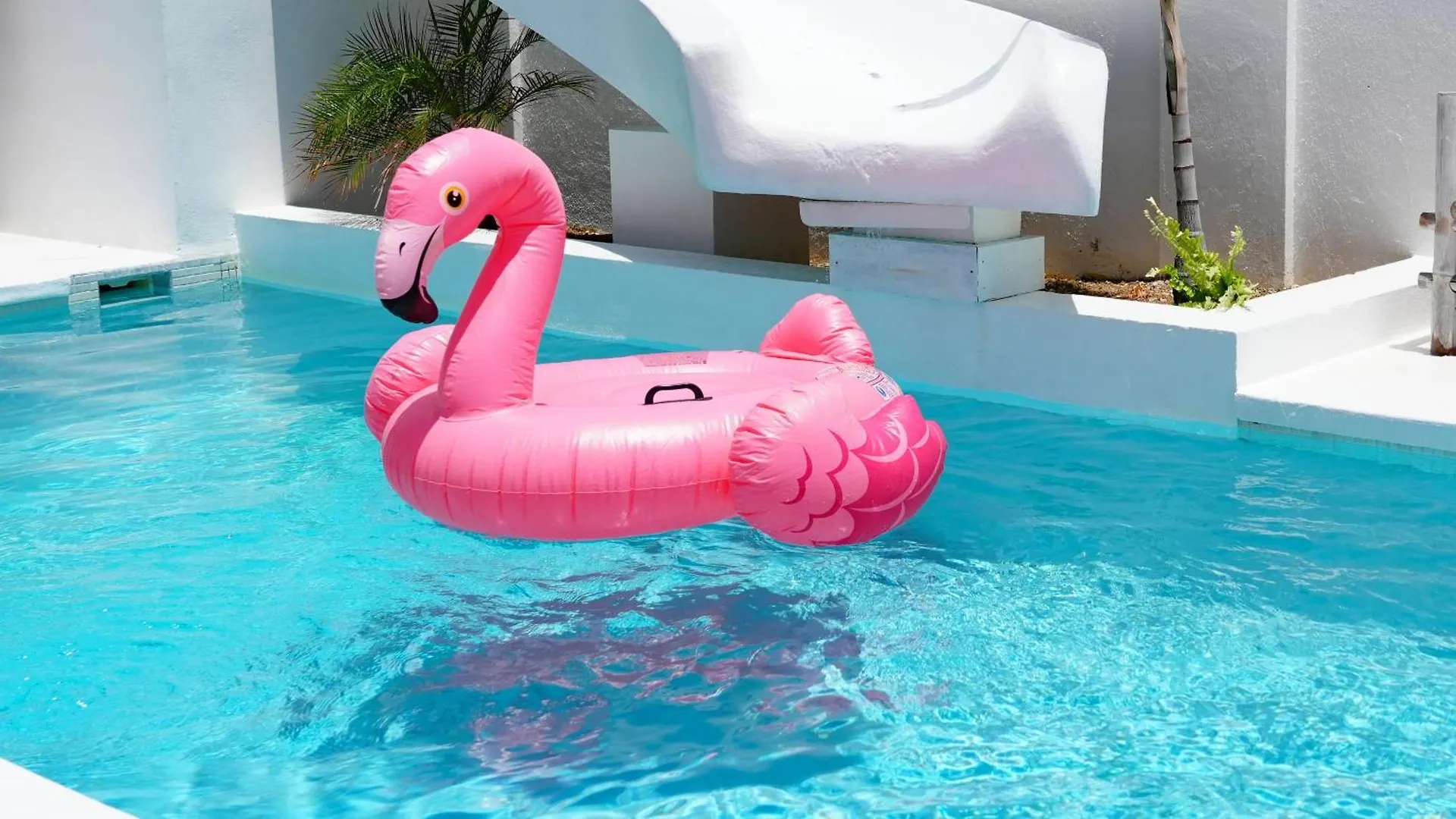 4Blessingscuracao2 Apartamento Willemstad Curaçao