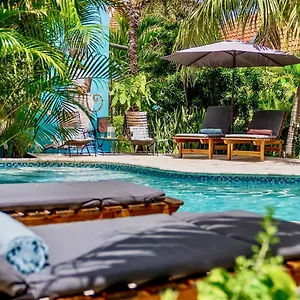 4* Hotel Pietermaai Boutique